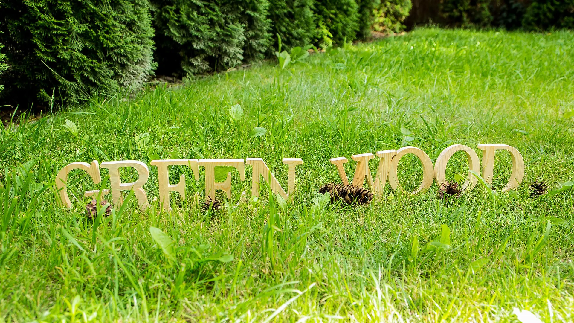 Green Wood Hostel Airport Варшава